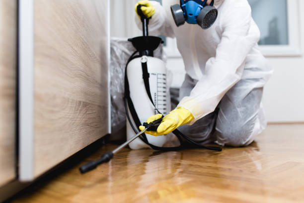Best Rat Extermination Near Me  in Palmview South, TX