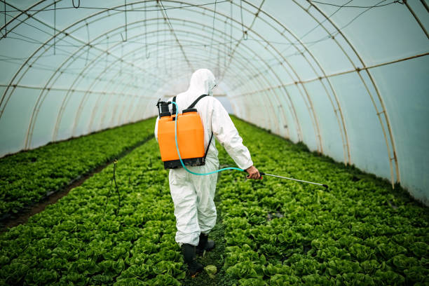 Best Residential Pest Control  in Palmview South, TX