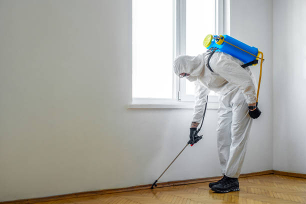 Best Pest Prevention Services  in Palmview South, TX