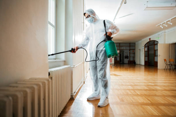 Best Best Pest Control Companies  in Palmview South, TX