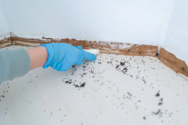 Pest Control for Restaurants in Palmview South, TX